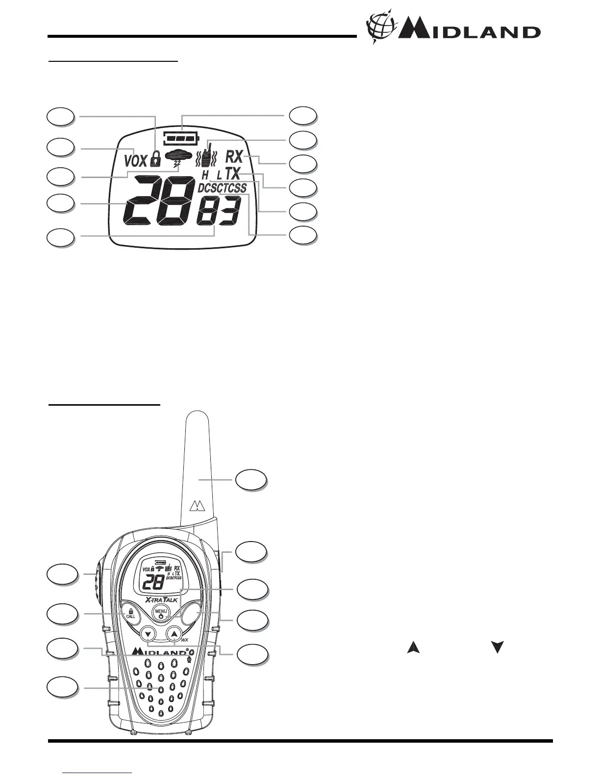 Page #5 background image