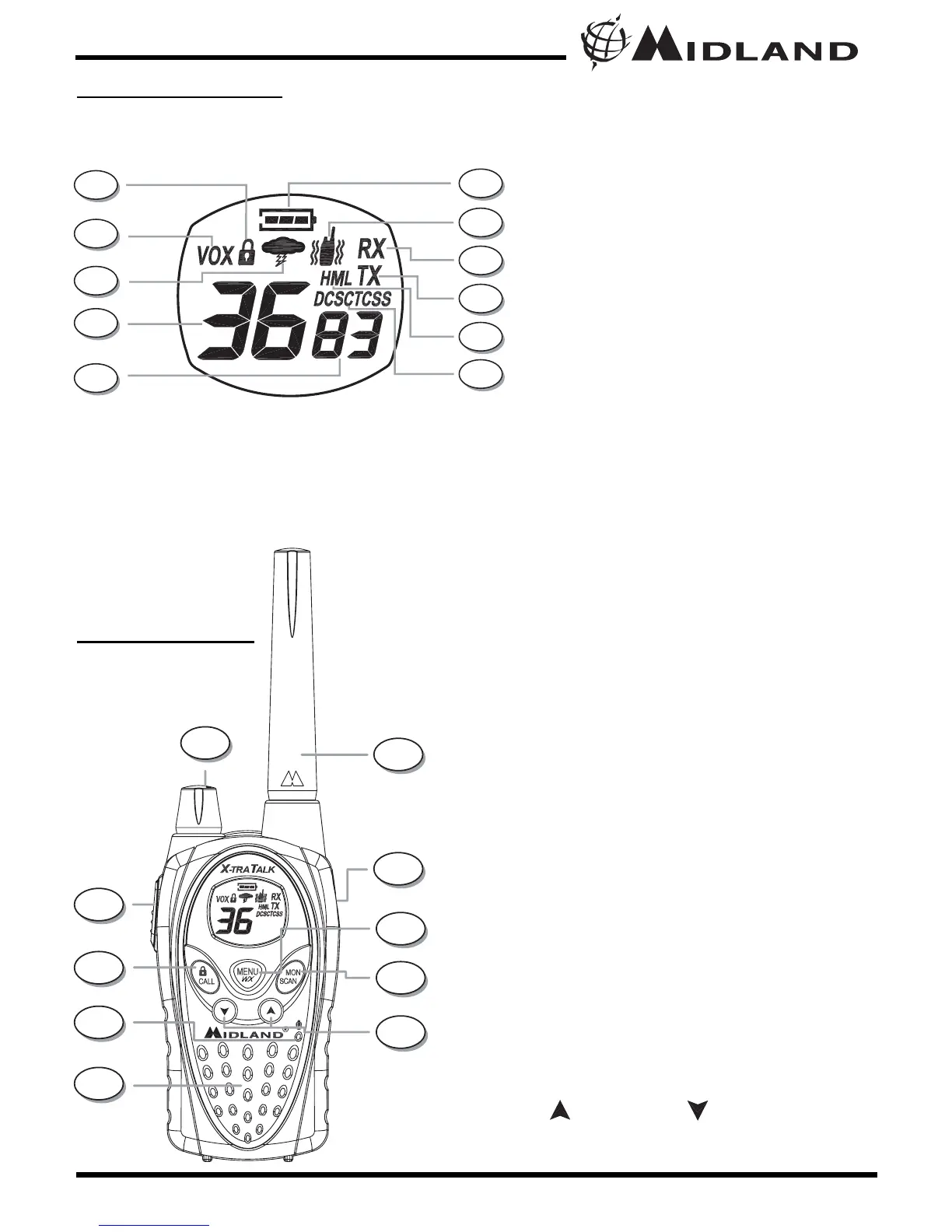 Page #6 background image