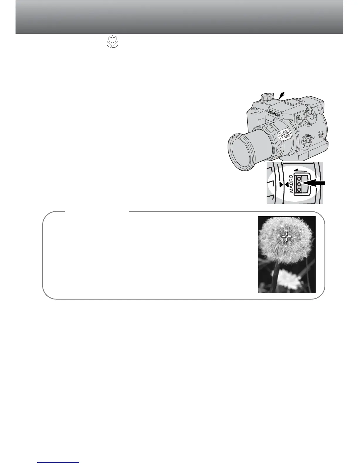 Page #69 background image