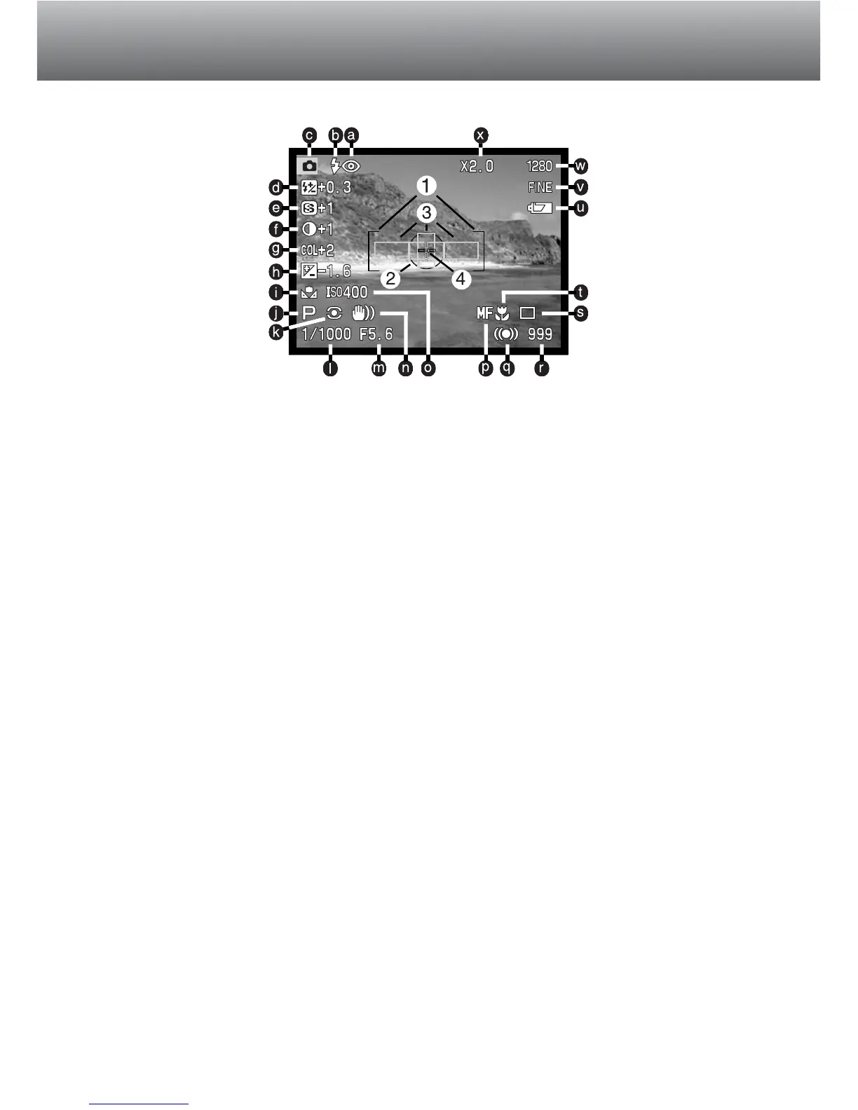 Page #14 background image