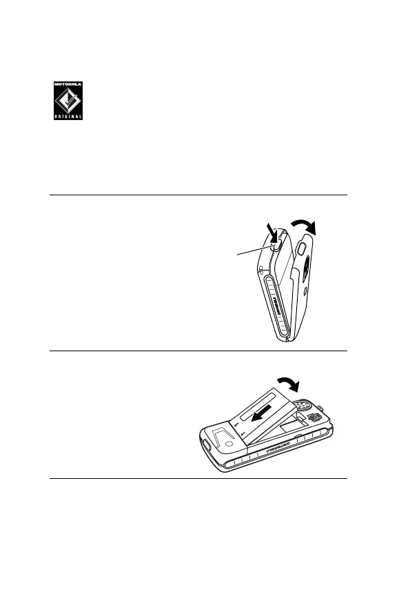 Page #13 background image