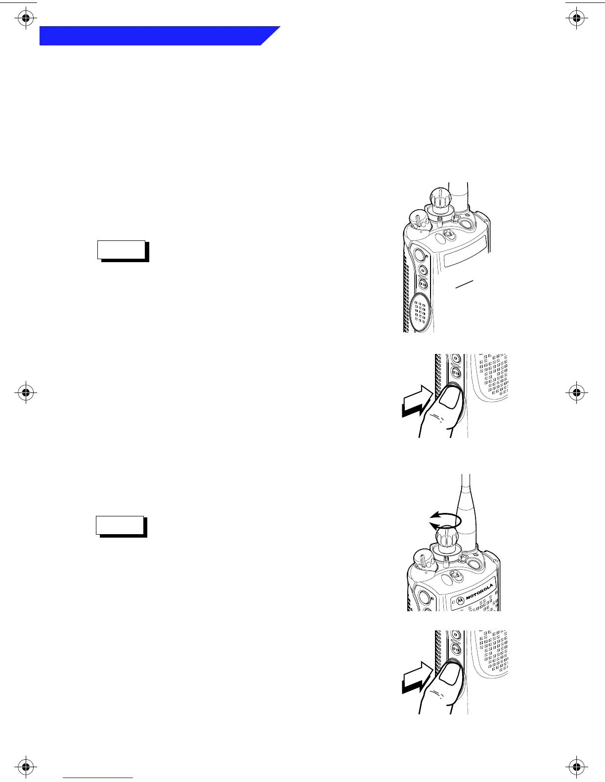 Page #16 background image