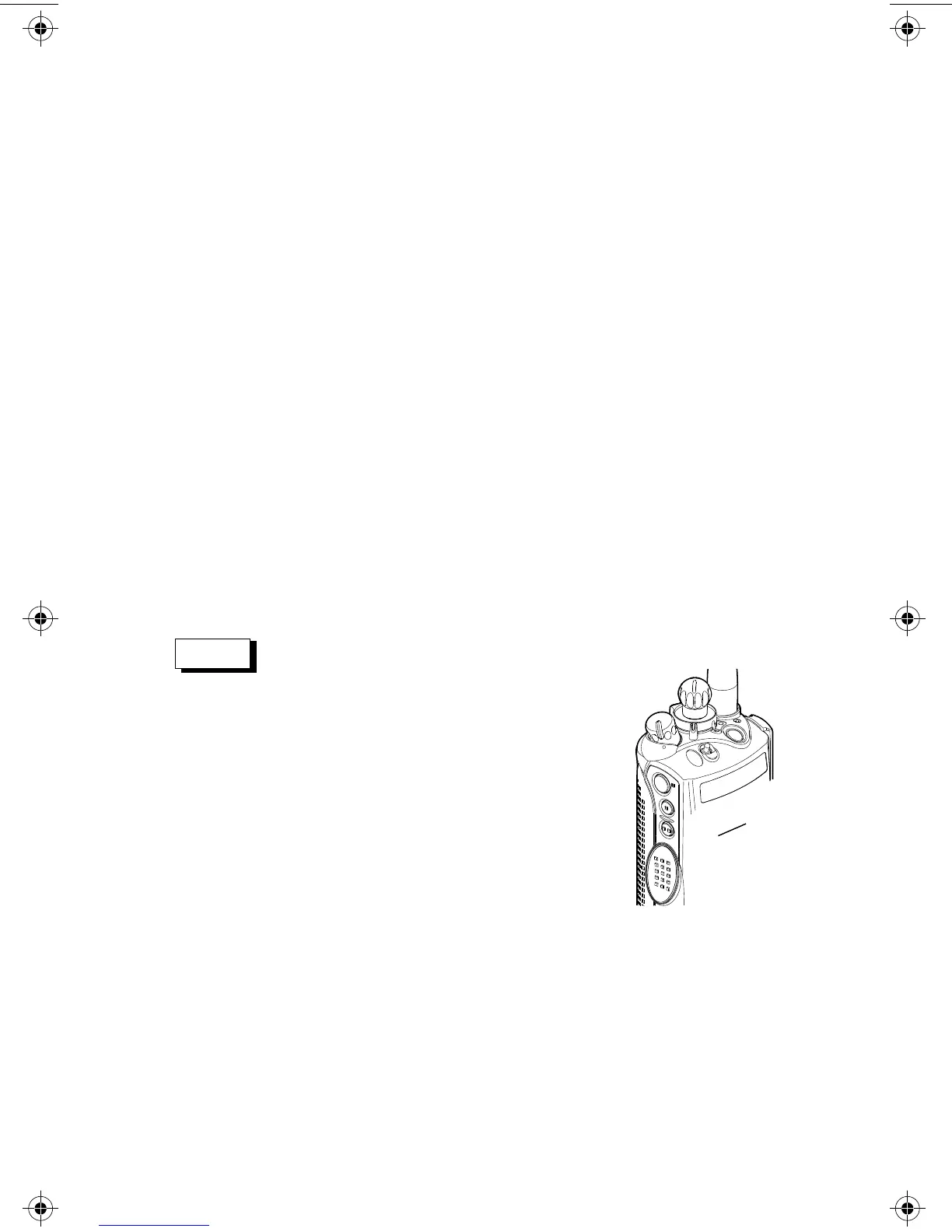 Page #19 background image