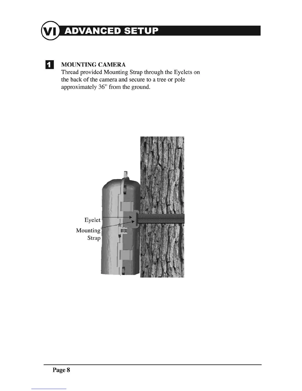 Page #8 background image