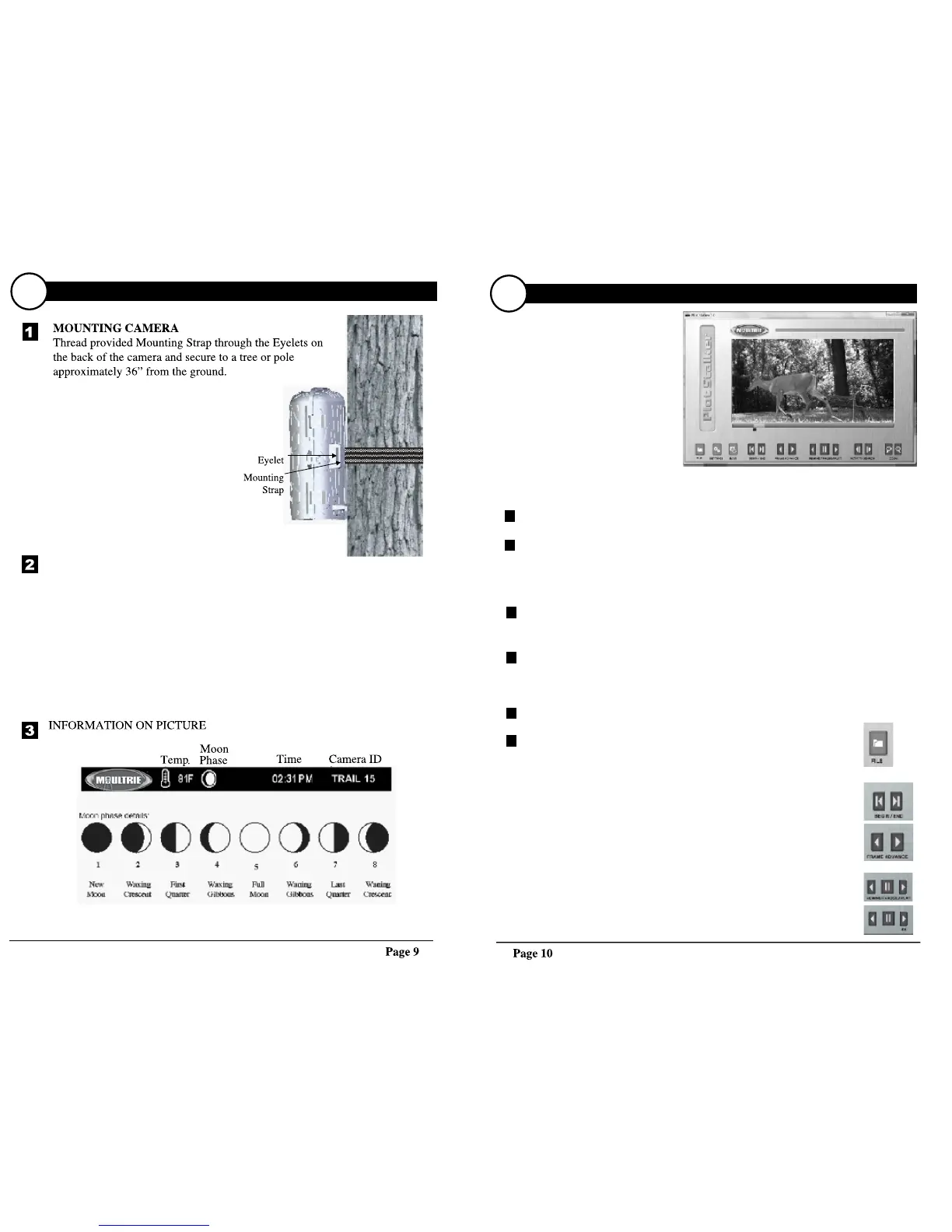 Page #5 background image