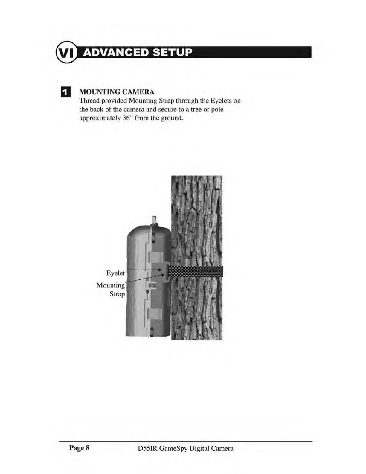 Page #8 background image