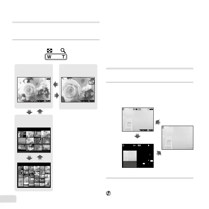 Page #24 background image