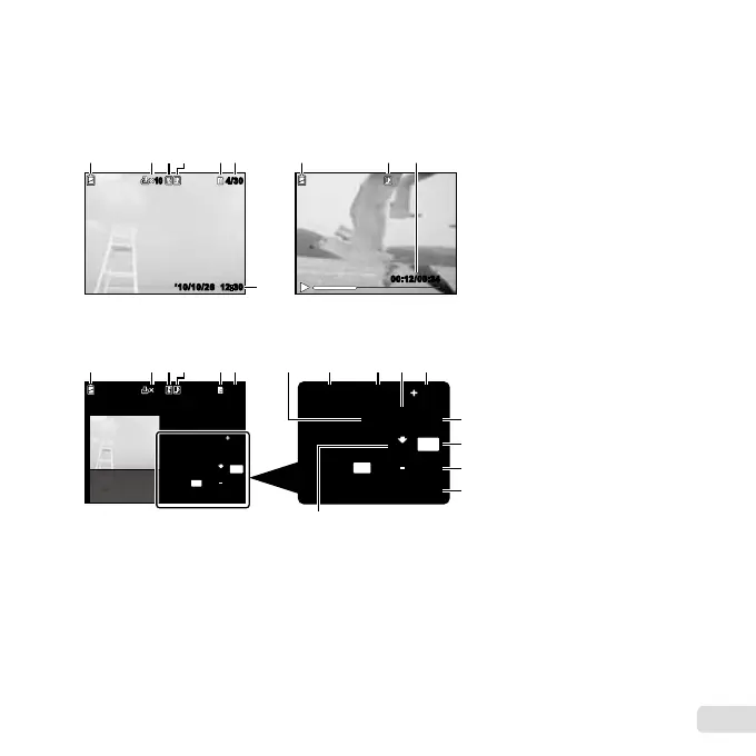 Page #11 background image