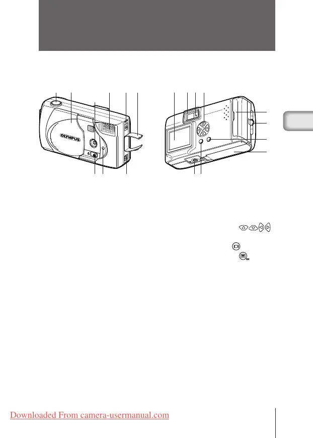 Page #35 background image