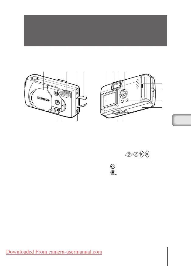 Page #125 background image