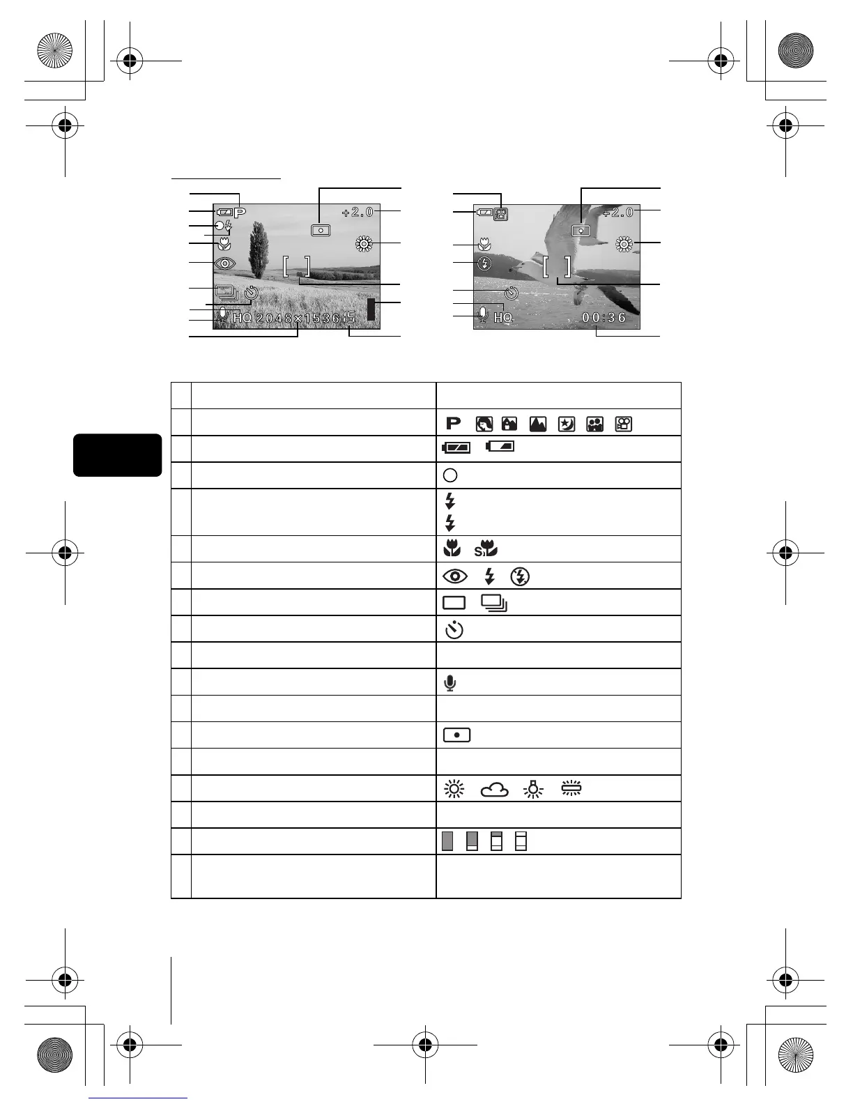 Page #6 background image