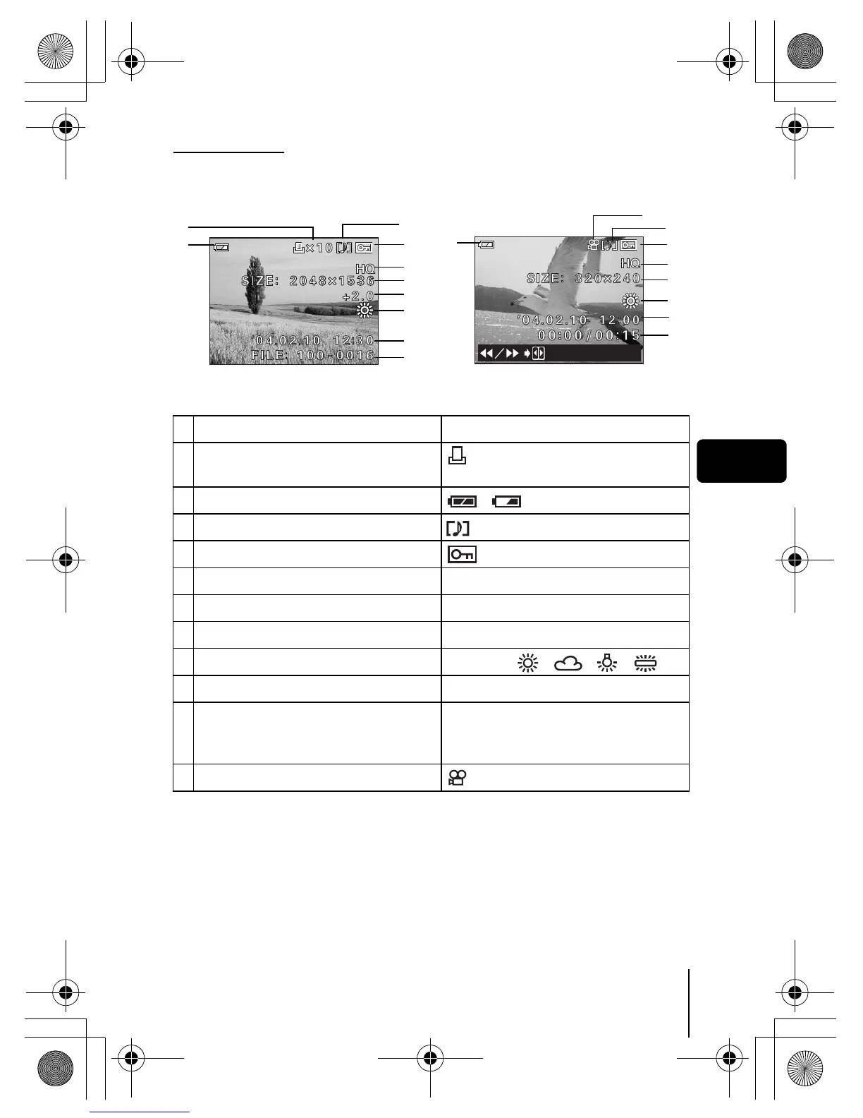 Page #7 background image