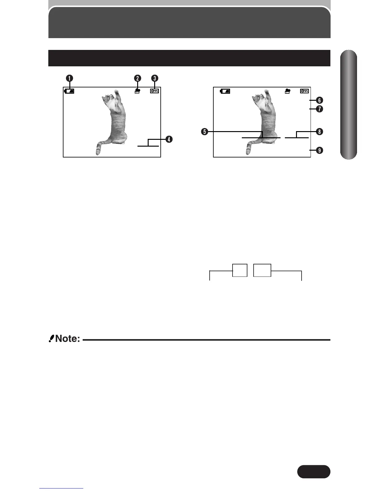 Page #19 background image