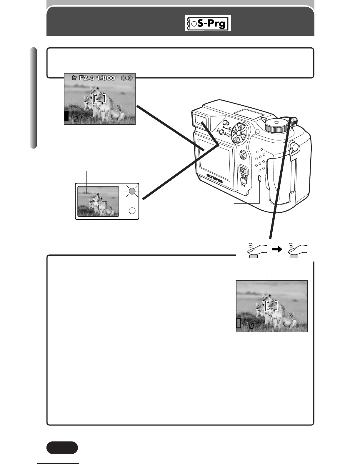 Page #40 background image