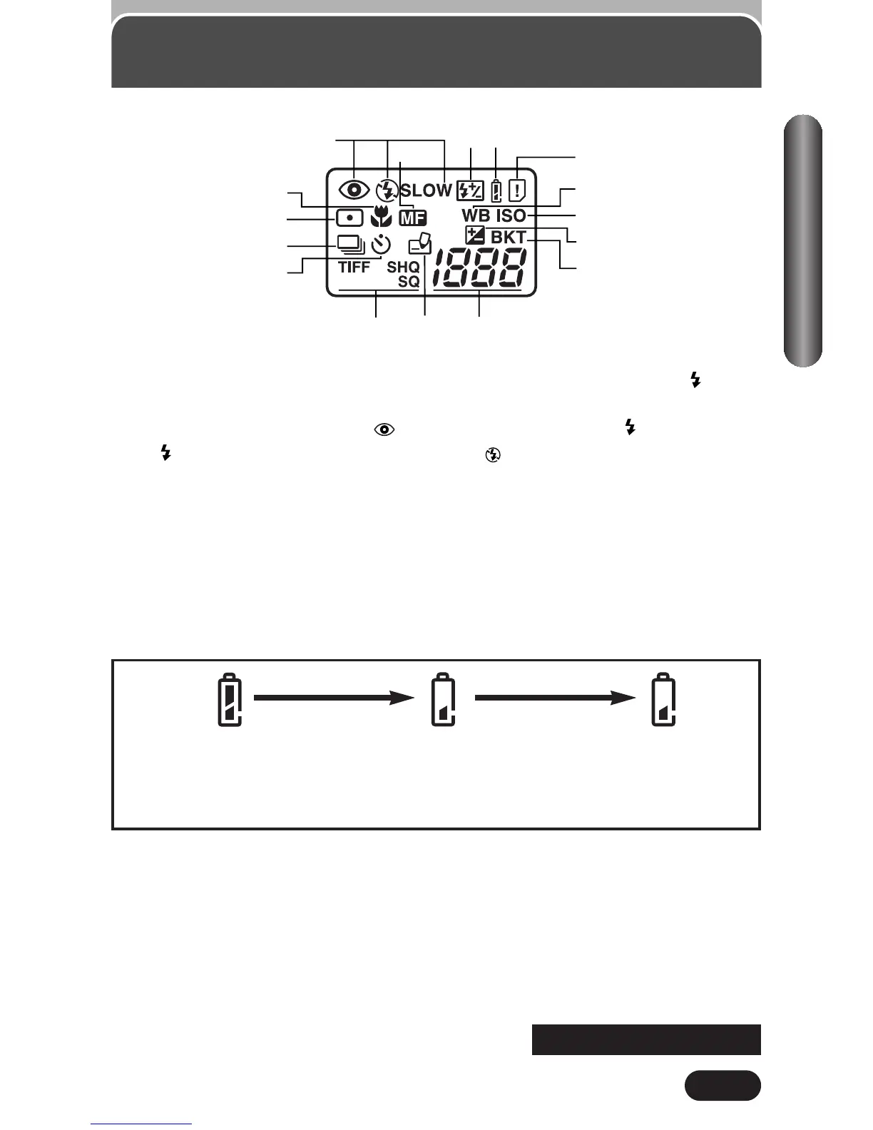 Page #13 background image