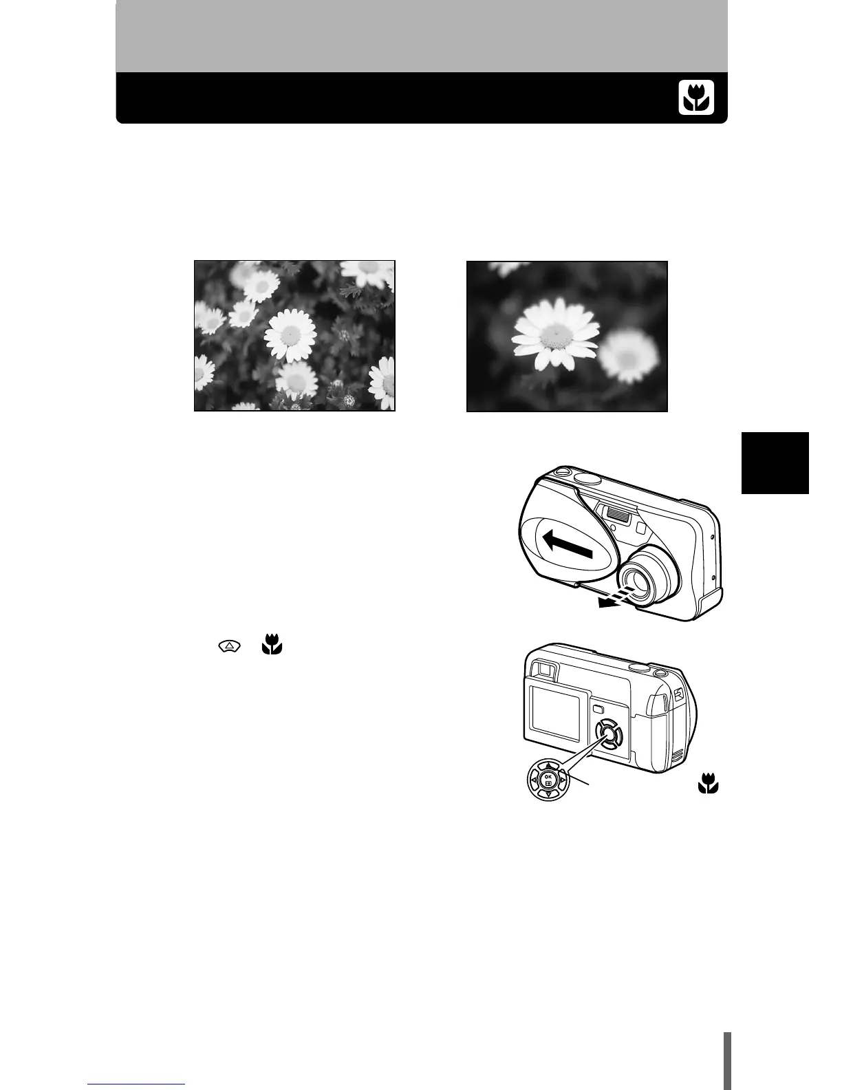 Page #62 background image