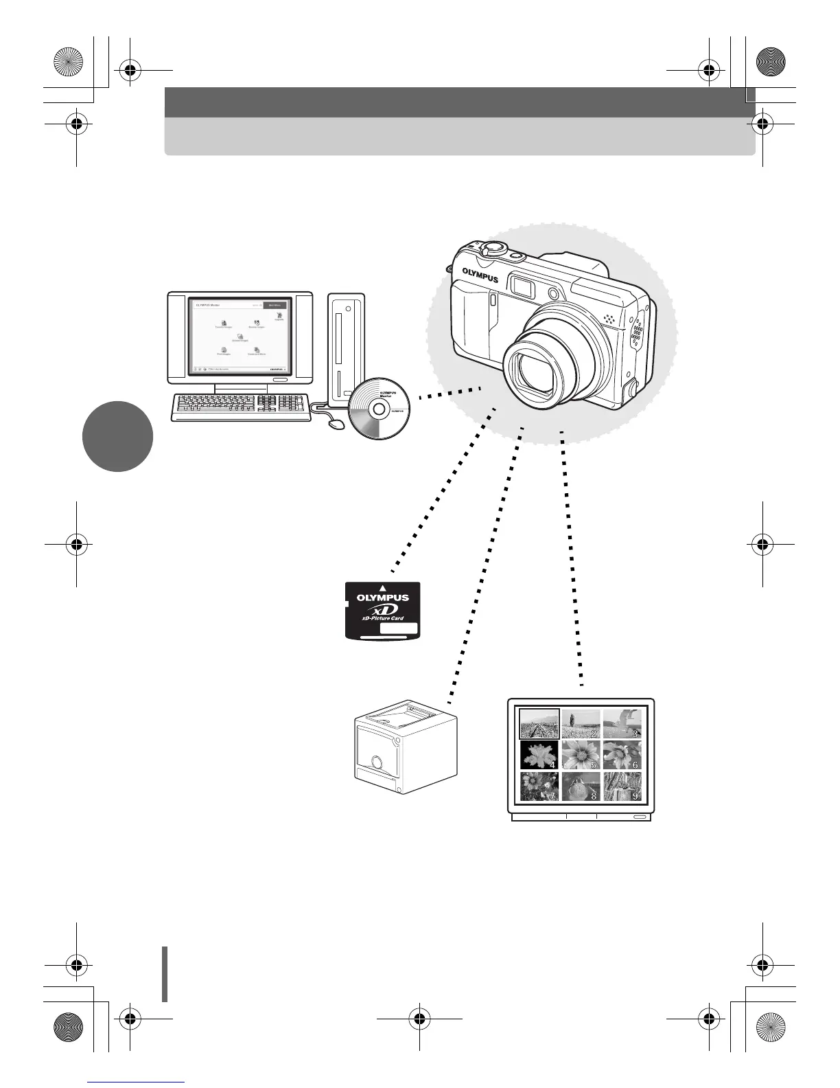 Page #4 background image
