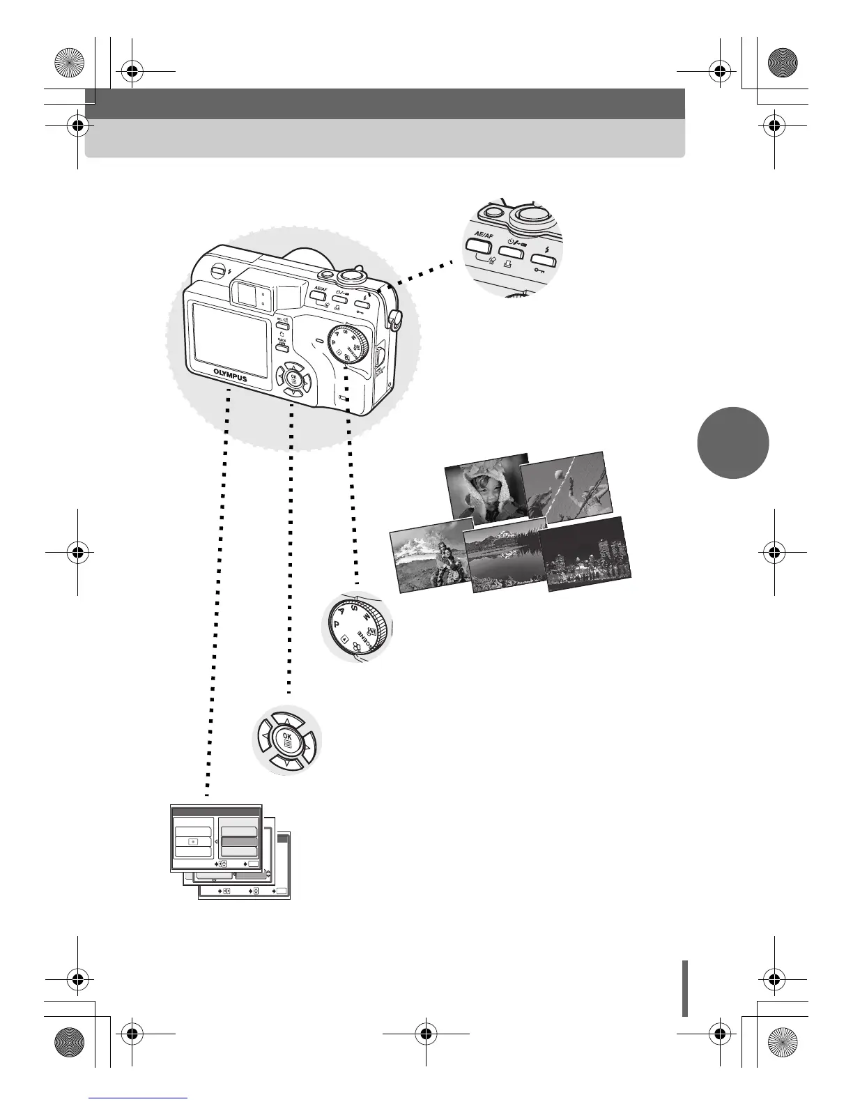 Page #5 background image