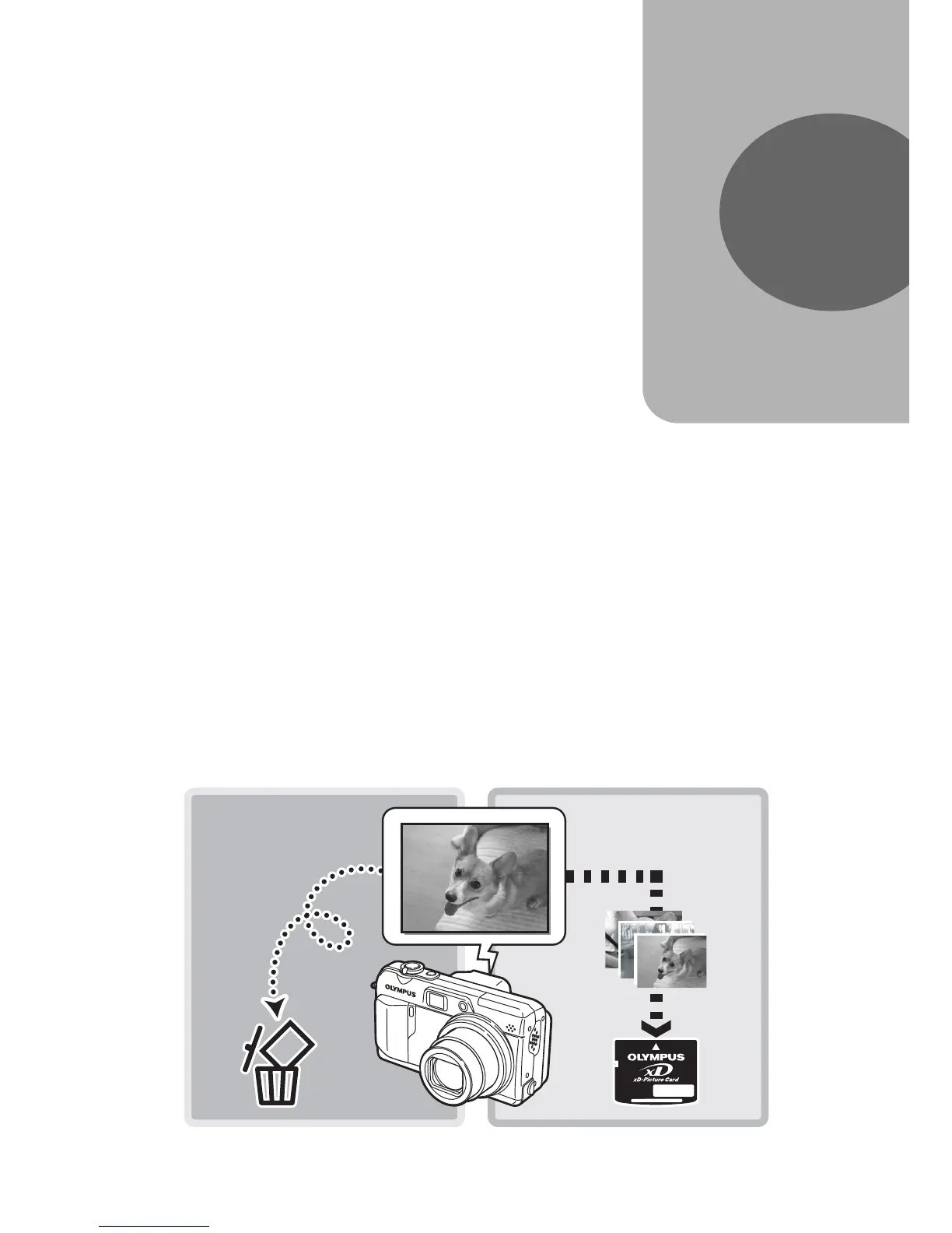 Page #80 background image