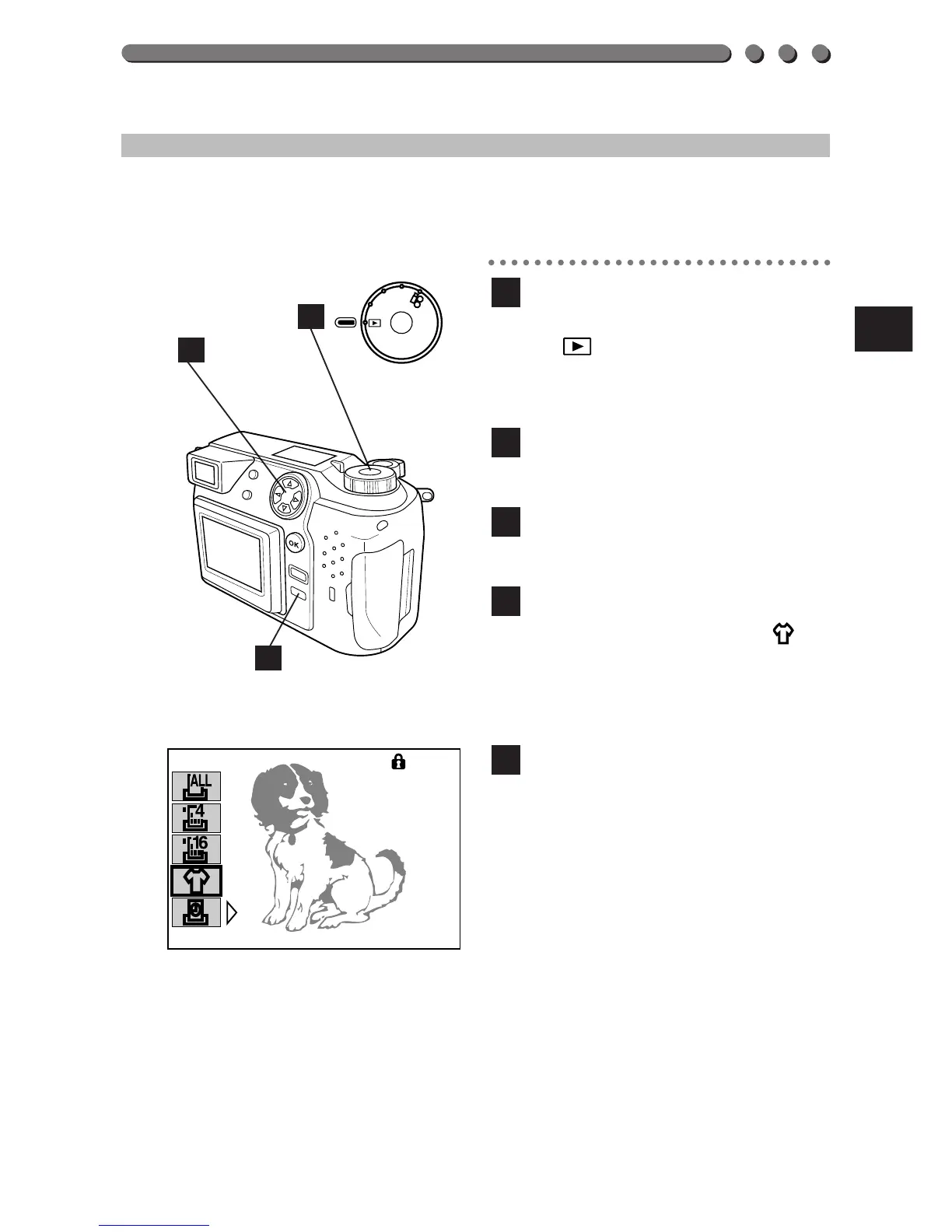 Page #17 background image