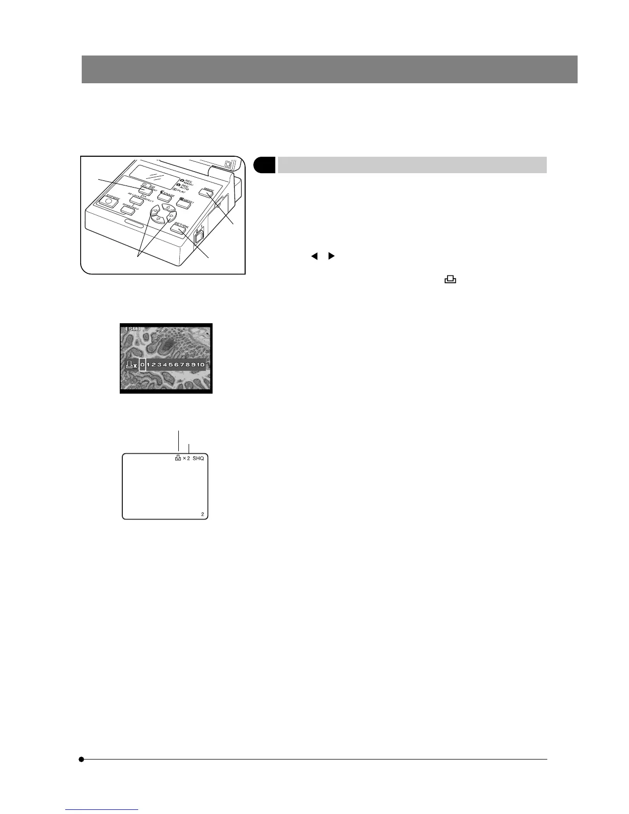 Page #22 background image