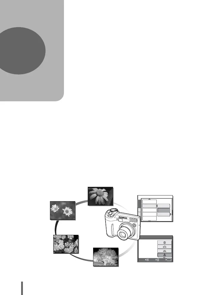 Page #50 background image