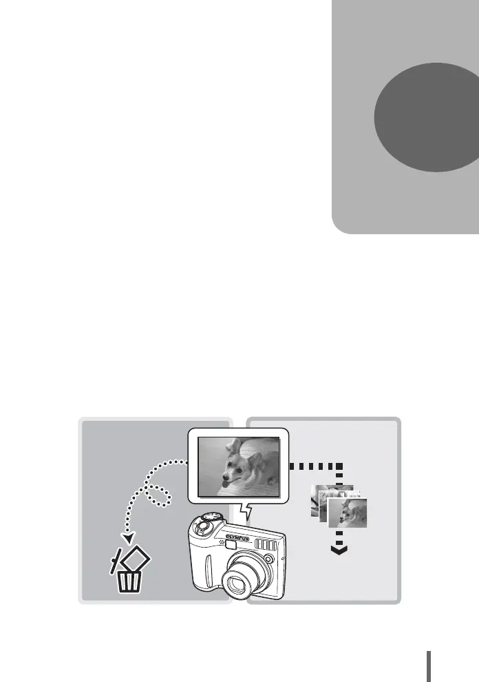 Page #75 background image