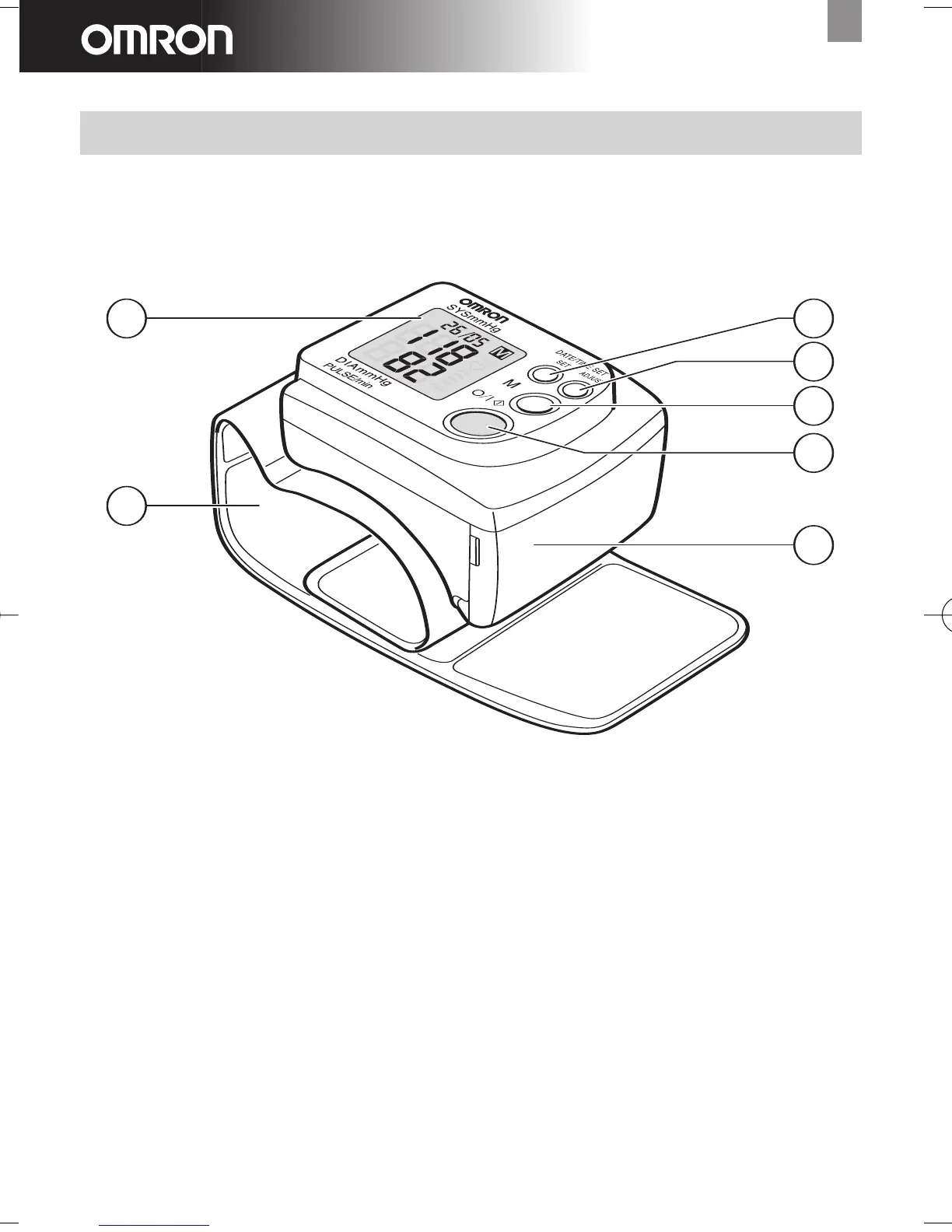 Page #5 background image