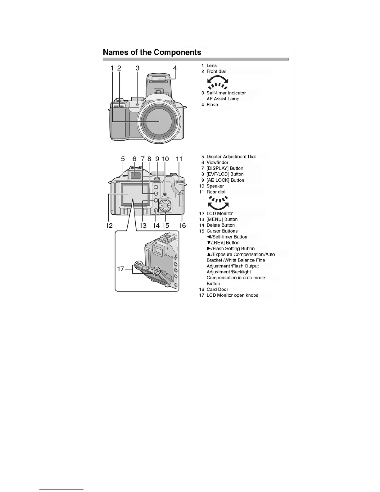 Page #13 background image