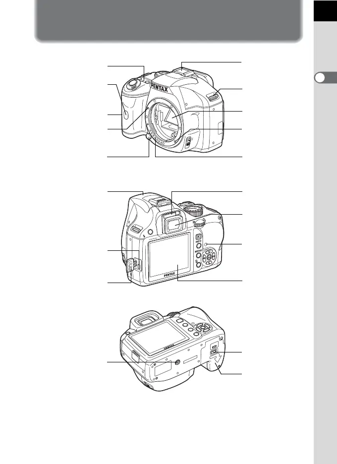 Page #19 background image