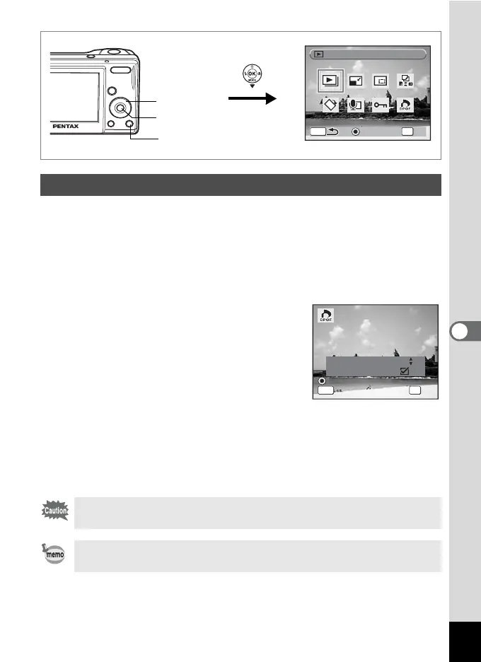 Page #119 background image