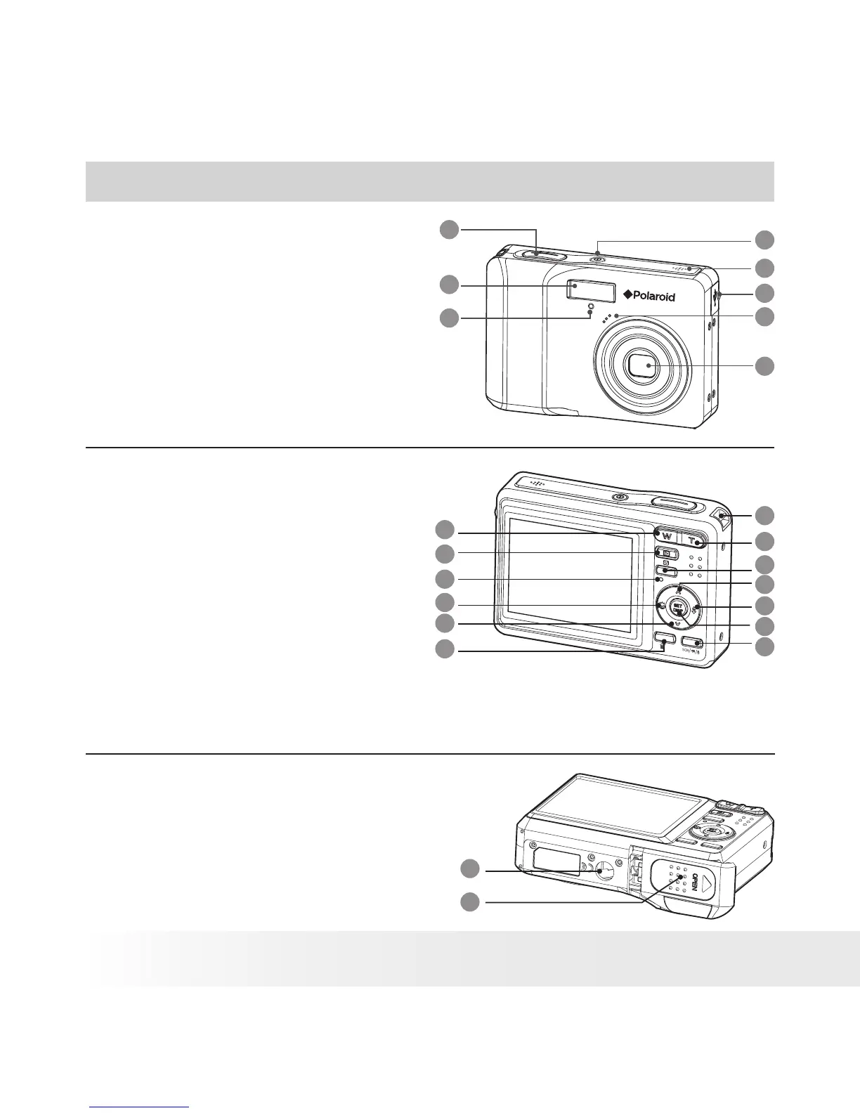 Page #2 background image