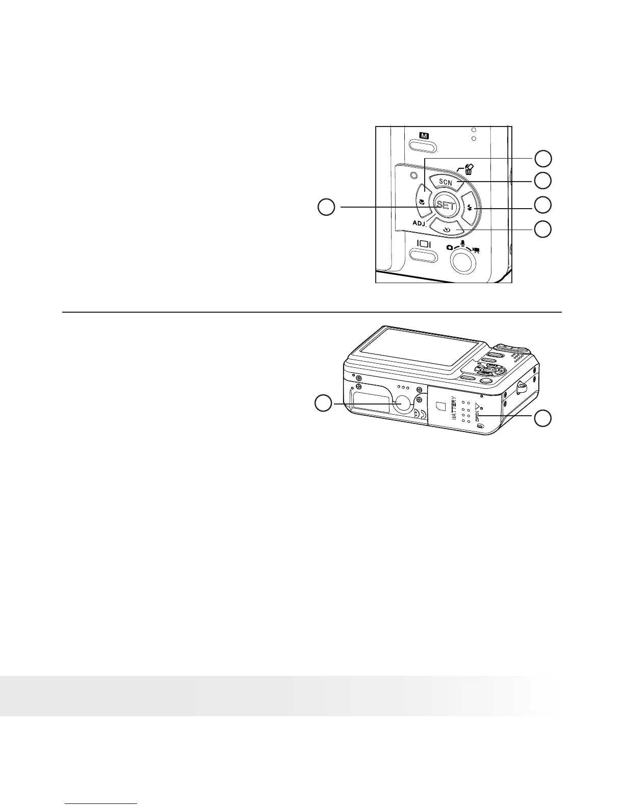 Page #3 background image