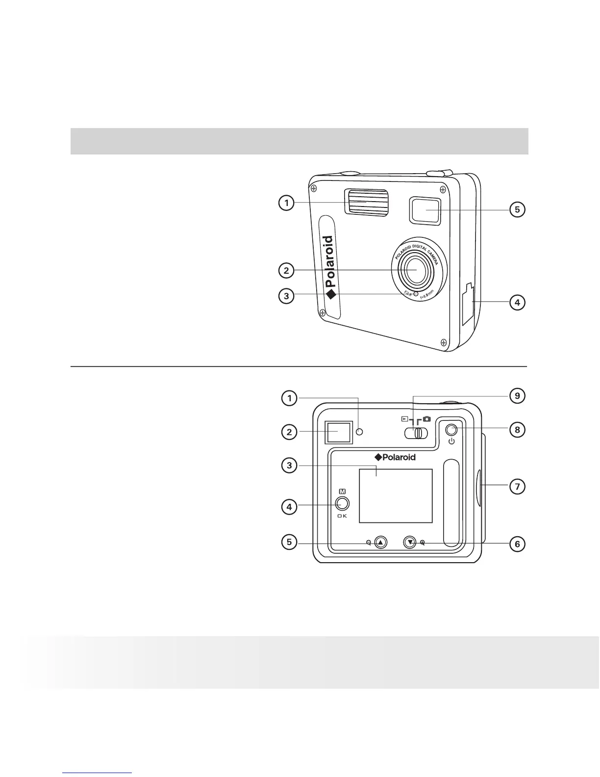 Page #2 background image