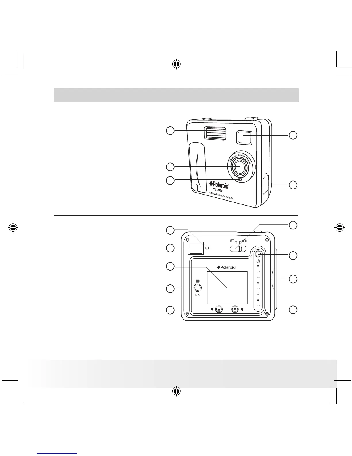 Page #2 background image