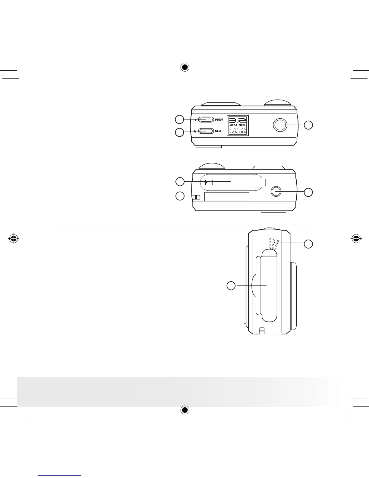 Page #3 background image