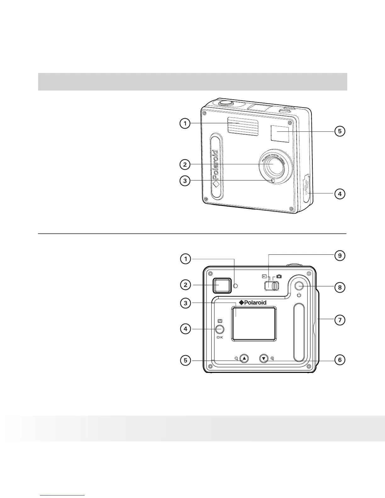 Page #2 background image