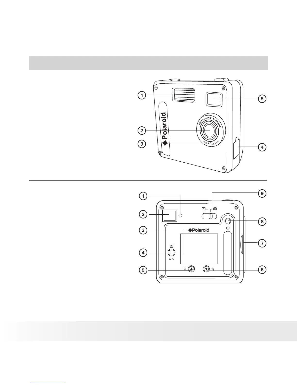 Page #2 background image