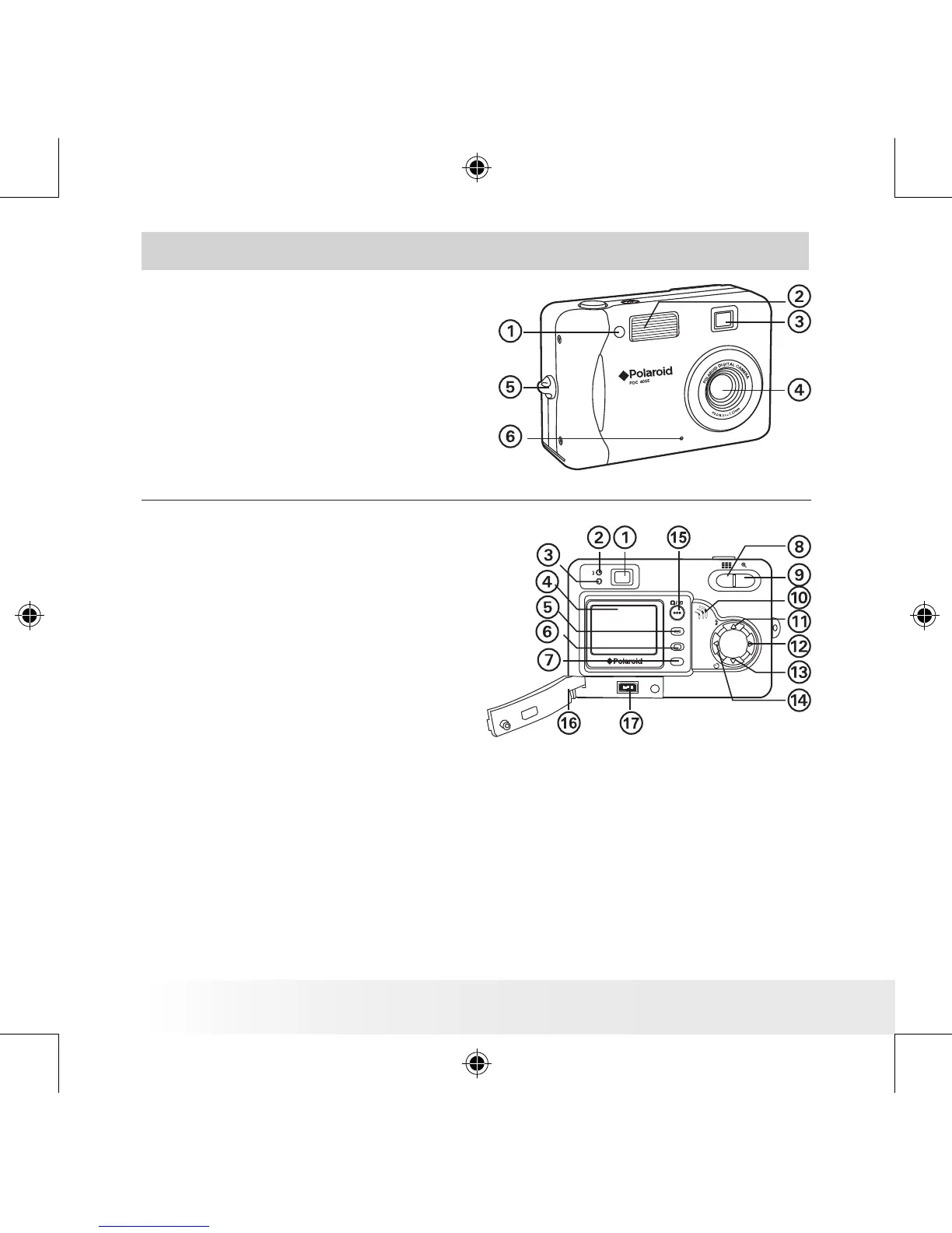 Page #2 background image