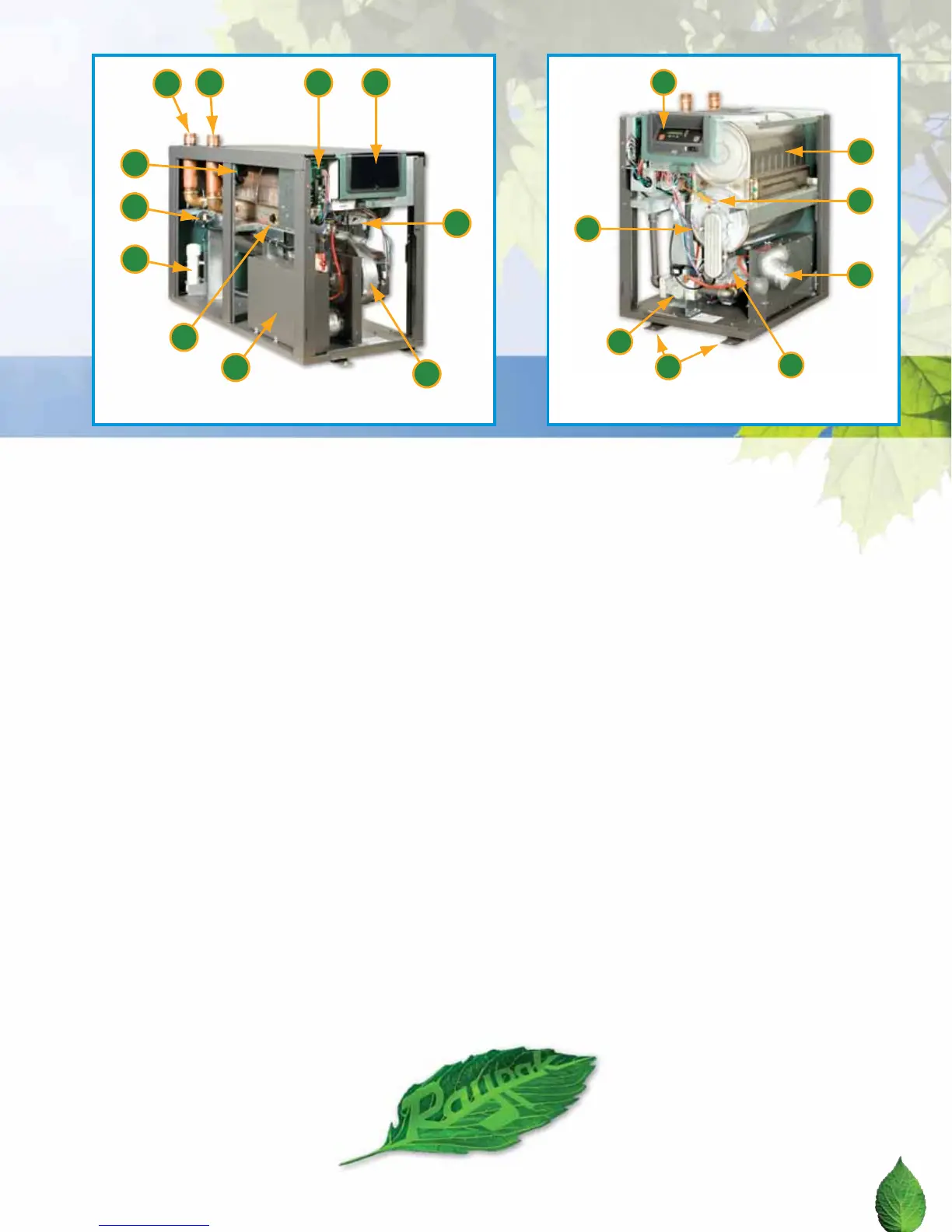 Page #3 background image