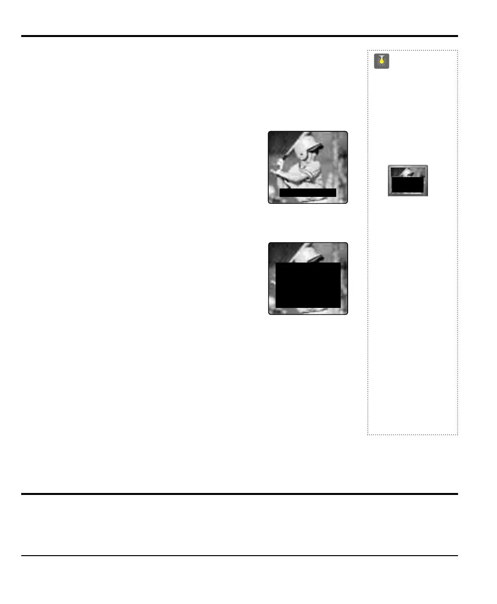 Page #55 background image