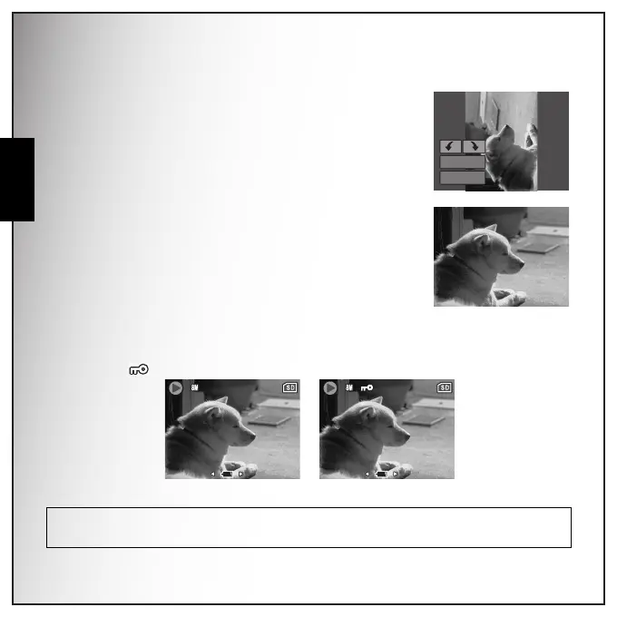 Page #56 background image
