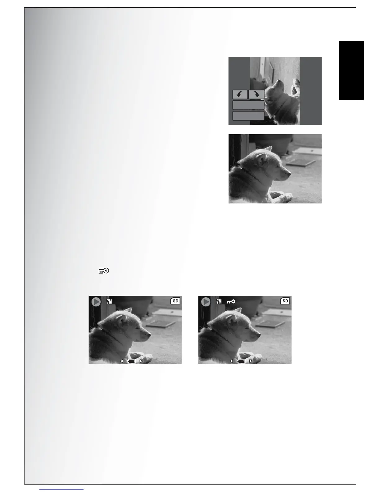 Page #47 background image