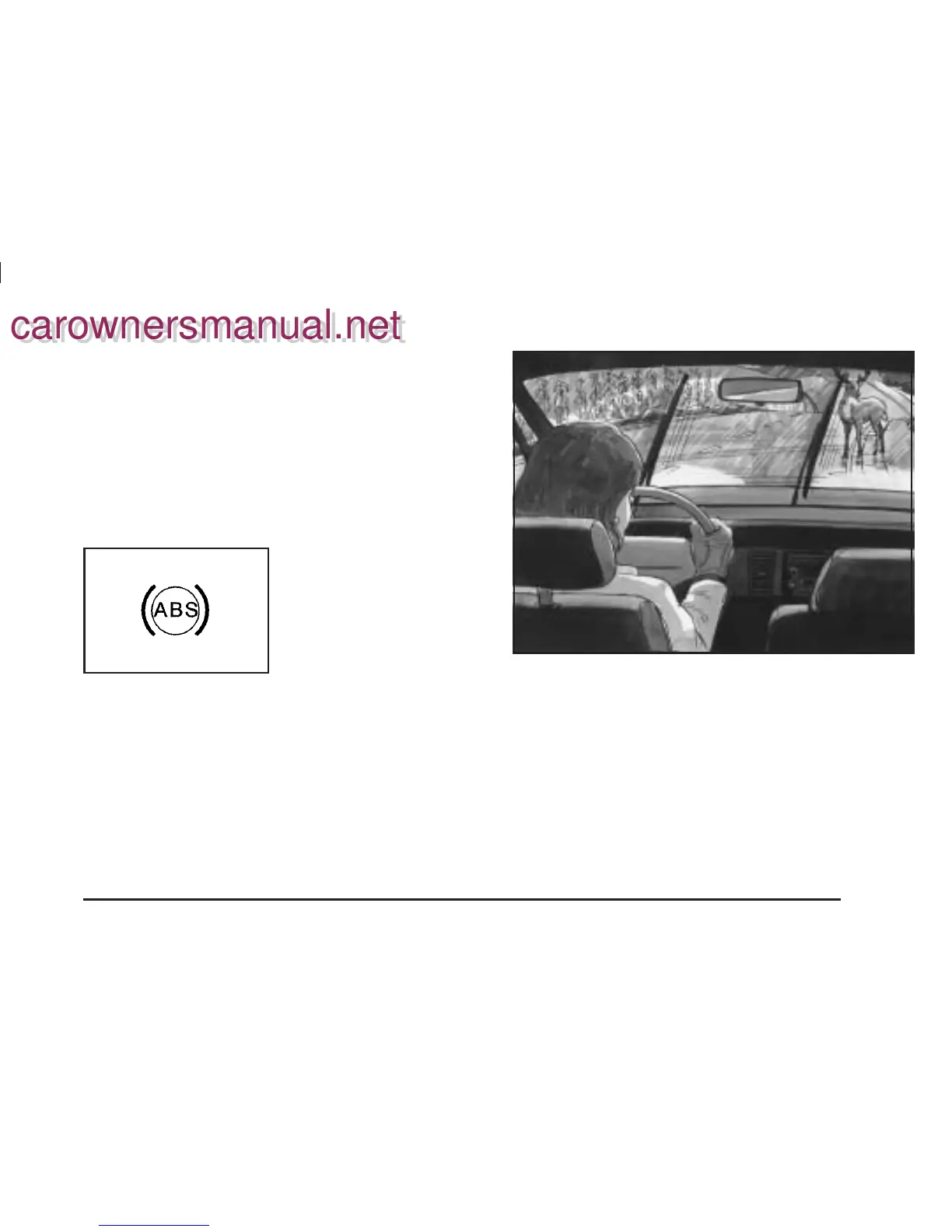 Page #207 background image