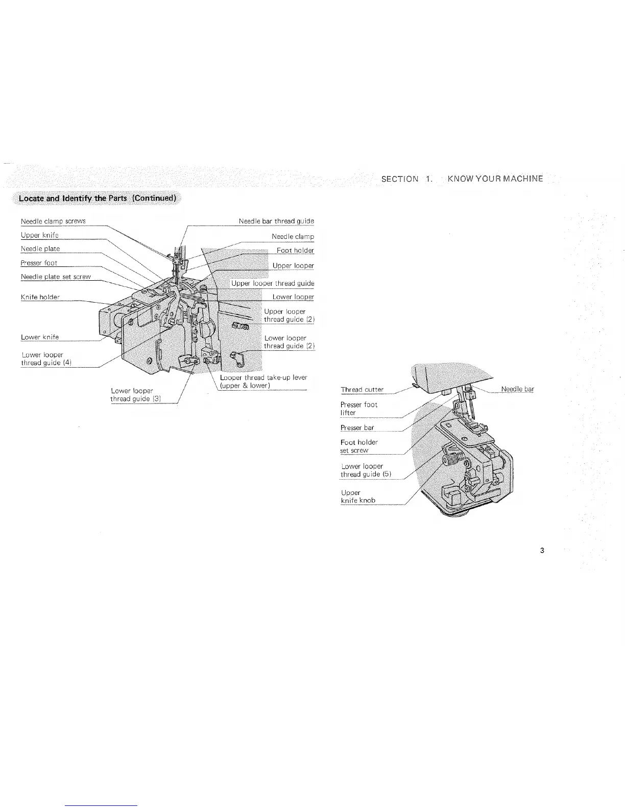 Page #8 background image
