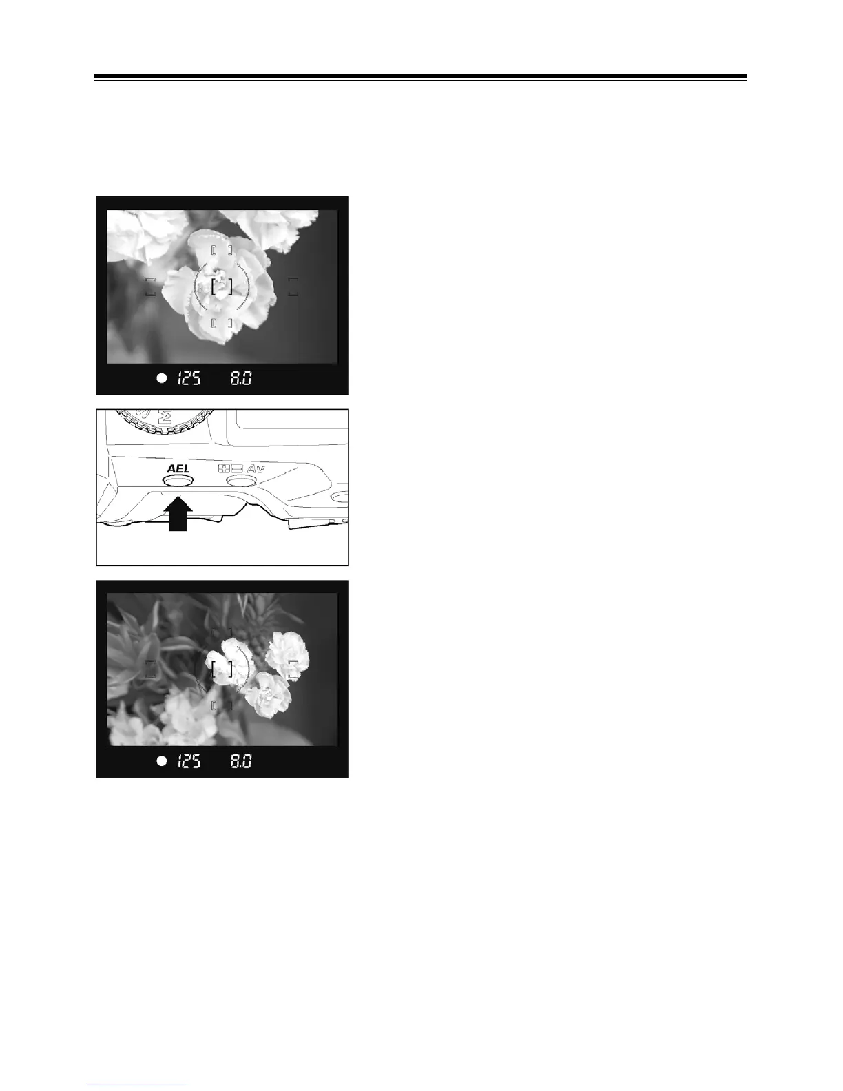 Page #63 background image