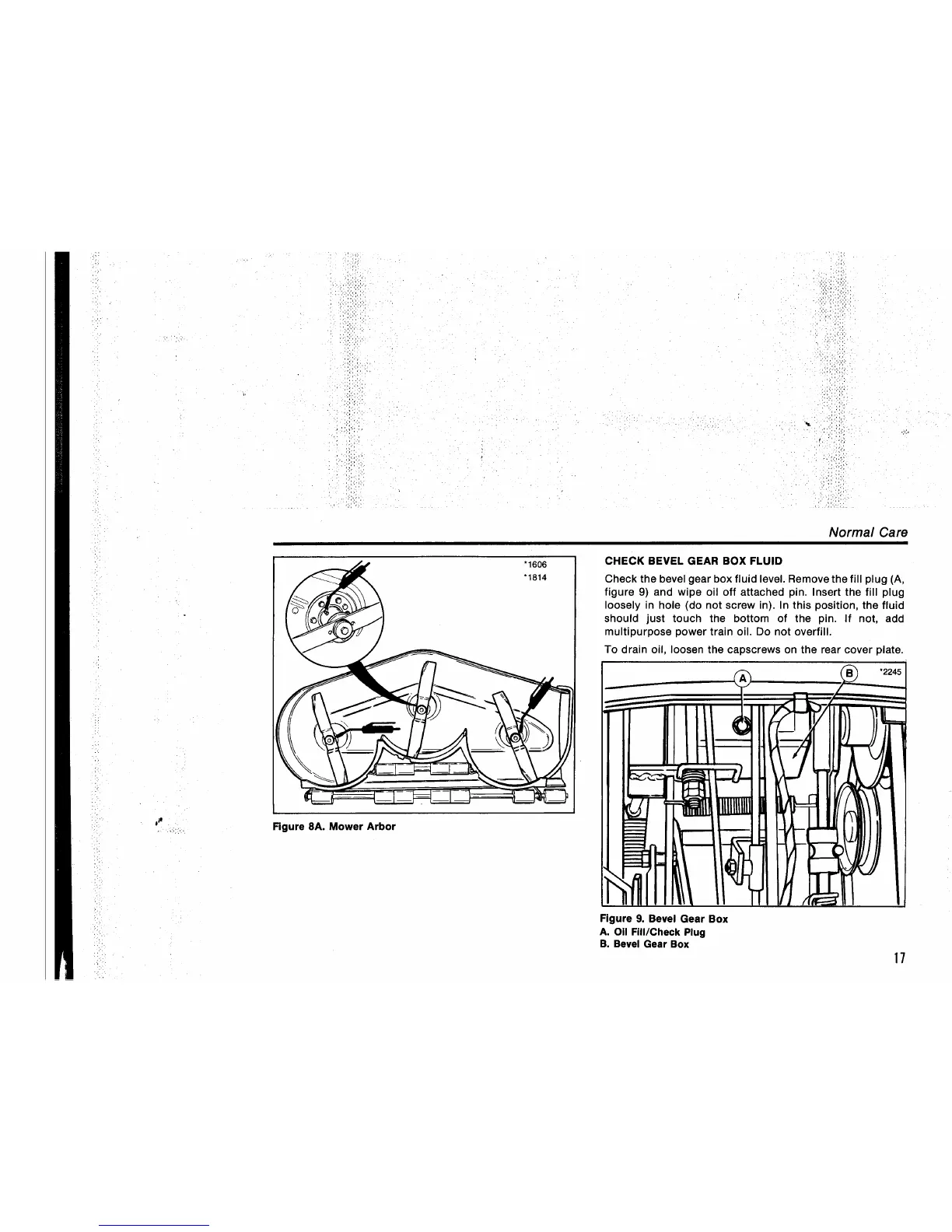 Page #19 background image