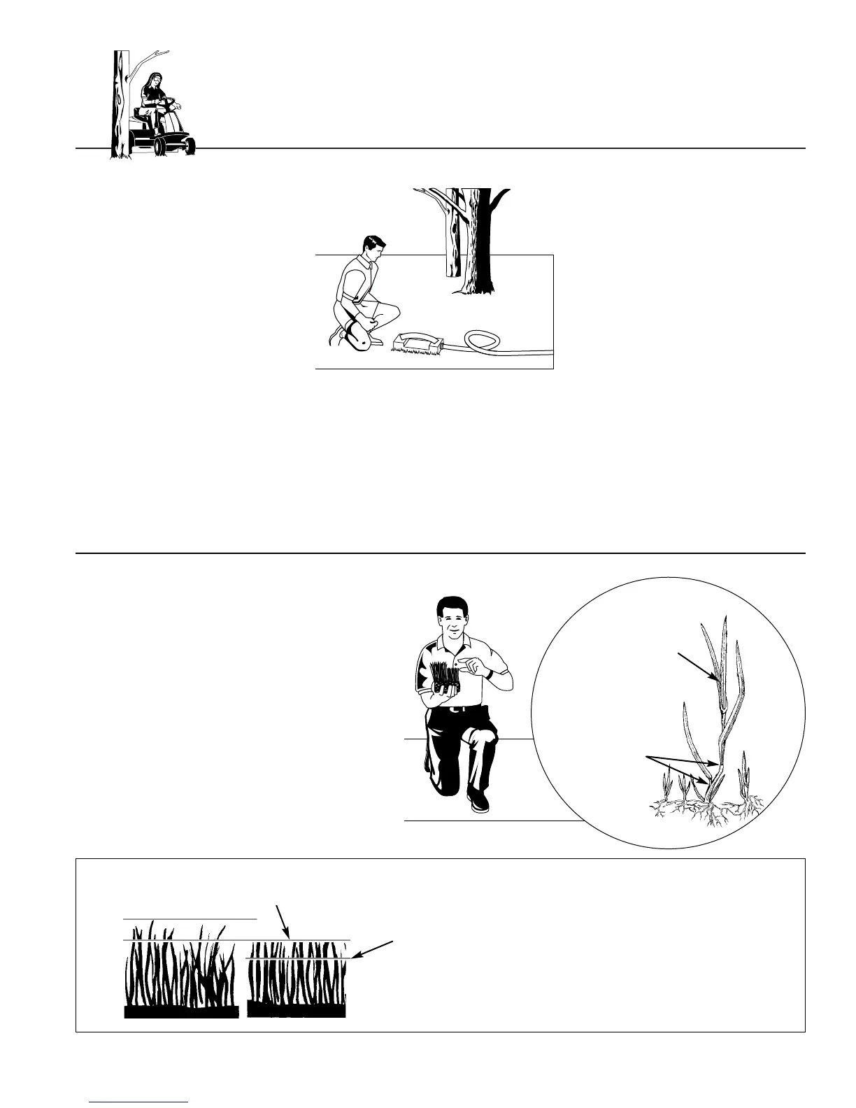 Page #38 background image