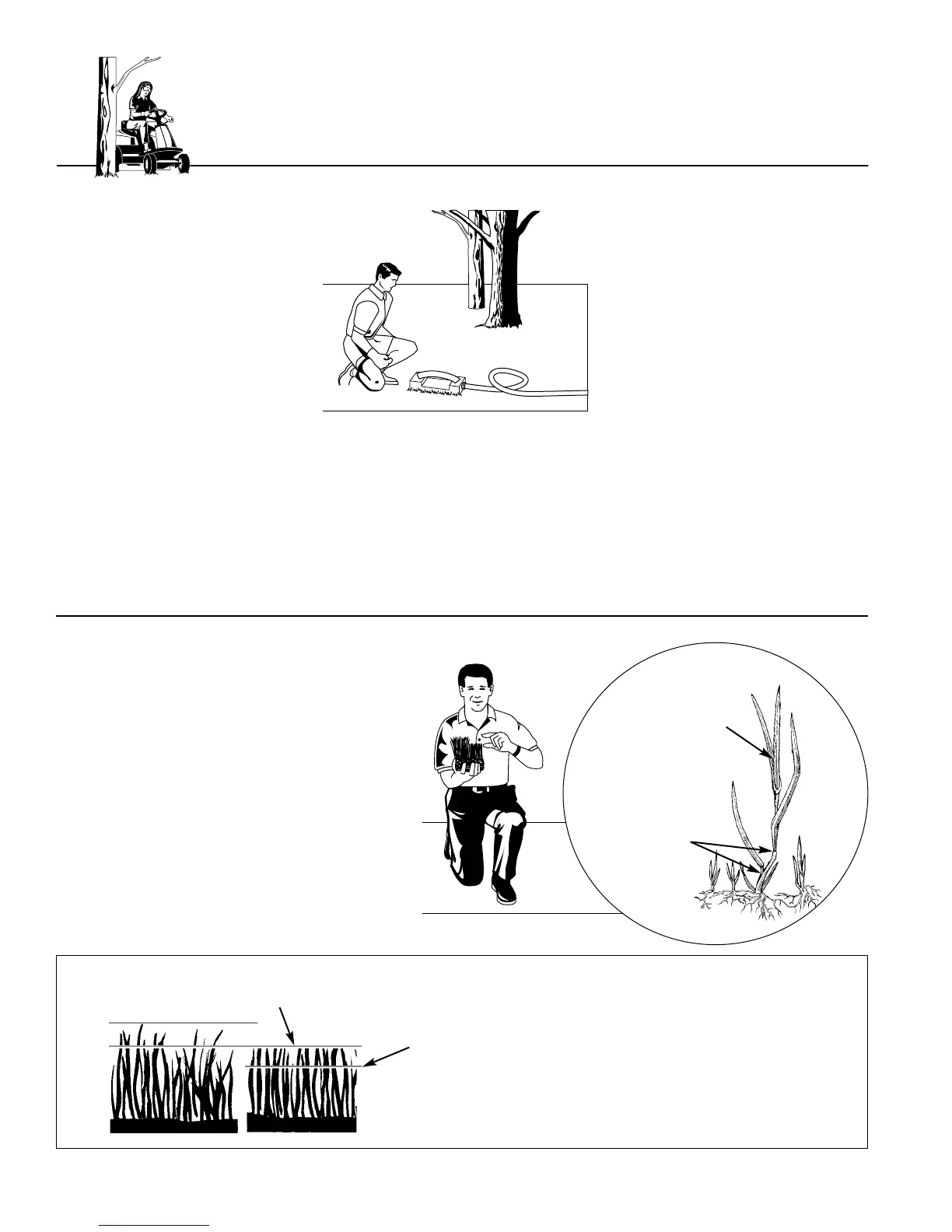 Page #42 background image