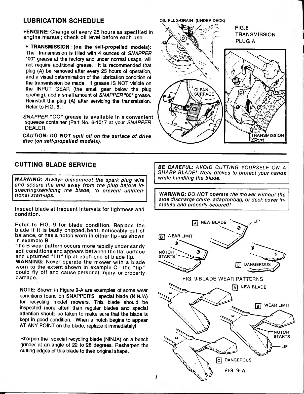 Page #7 background image